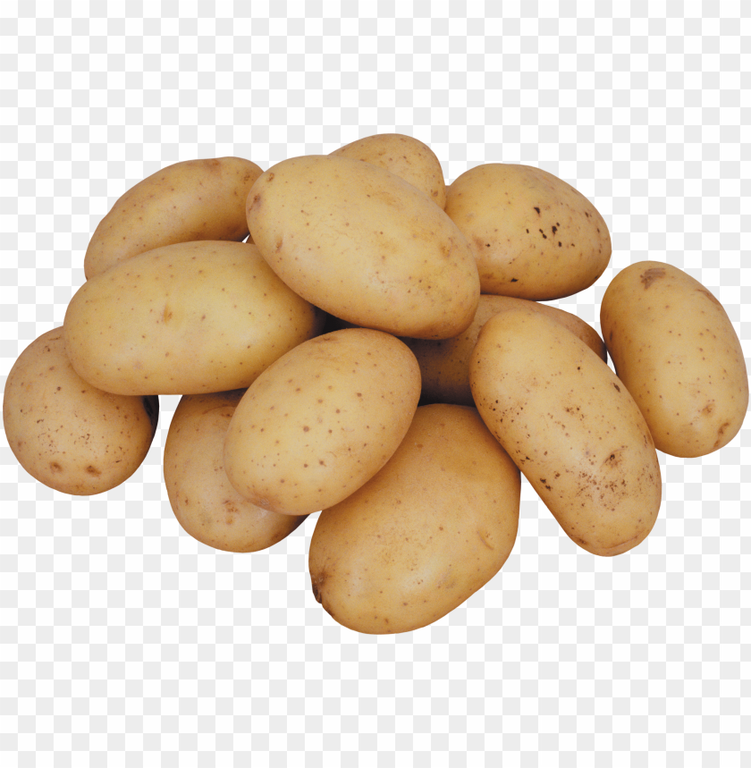 
potato
, 
food crops
, 
vegetable
, 
potato's
