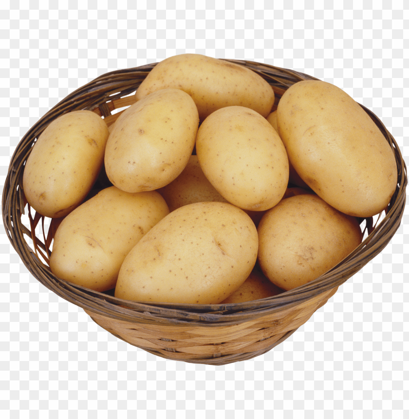 
potato
, 
tuberous crop
, 
plant
, 
food
, 
calories
