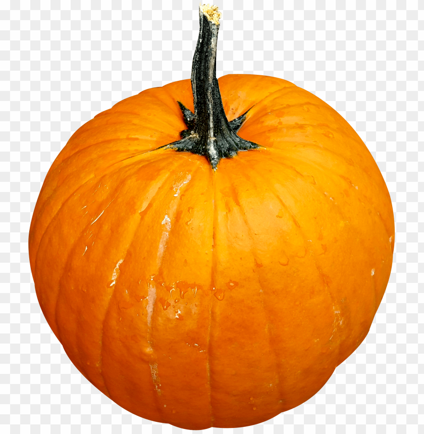 Pumpkin PNG, vegetable, orange, Halloween