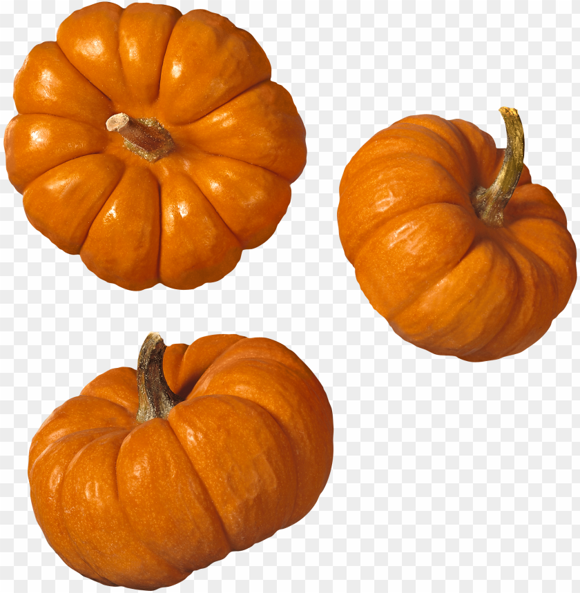 
pumpkin
, 
vegetable
, 
food
, 
rounded
, 
fruit
, 
pumpkins
