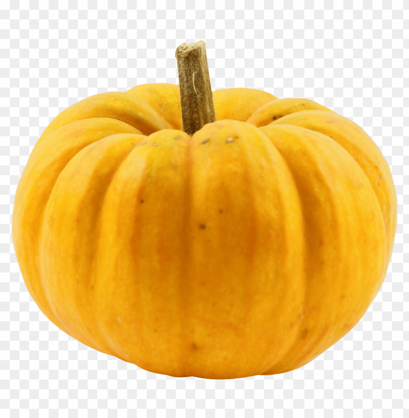 
pumpkin
, 
vegetables
, 
halloween
, 
squash
, 
round
