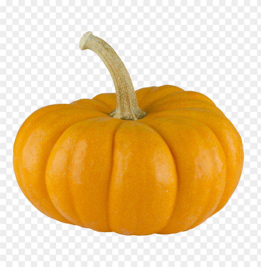 
pumpkin
, 
vegetables
, 
halloween
, 
squash
, 
round
