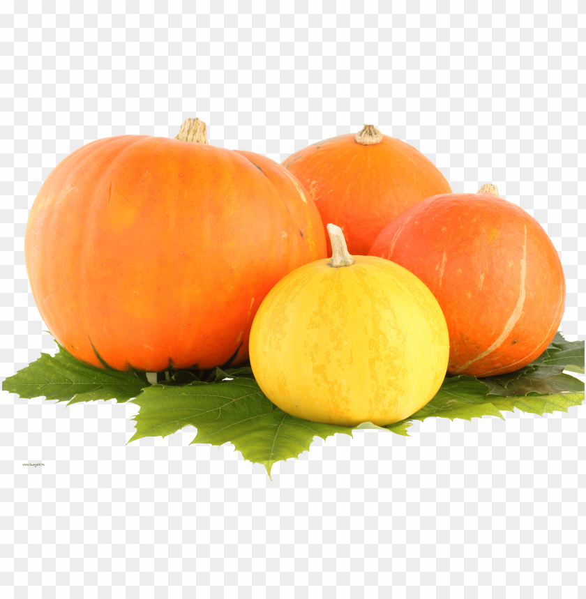 
pumpkin
, 
vegetable
, 
food
, 
rounded
, 
fruit
, 
pumpkins
