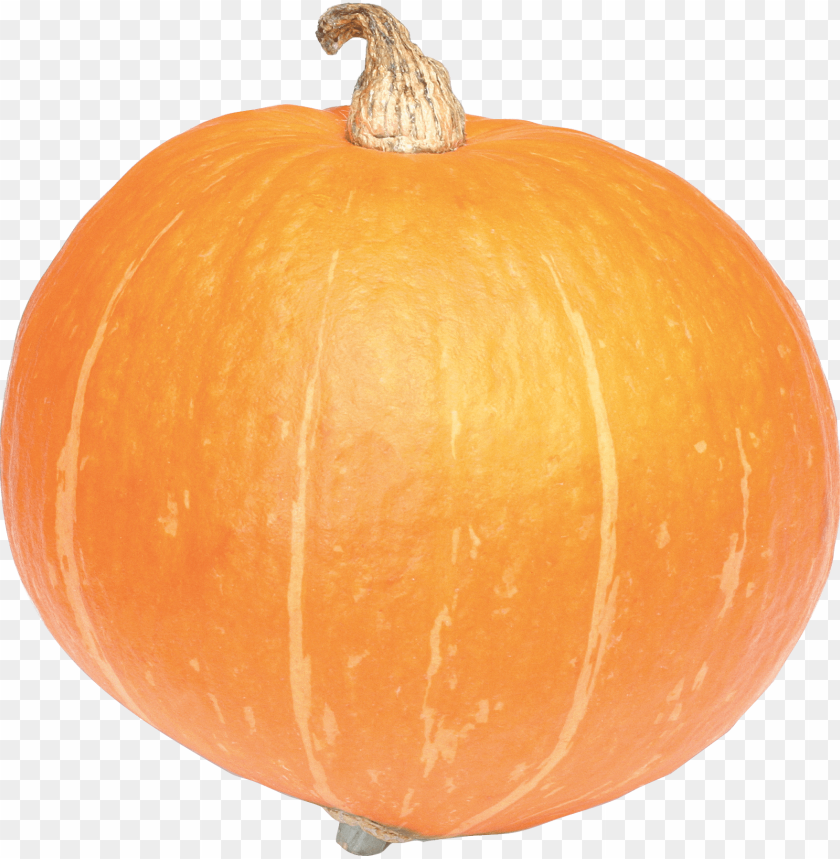 
pumpkin
, 
vegetable
, 
food
, 
rounded
, 
fruit
, 
pumpkins
