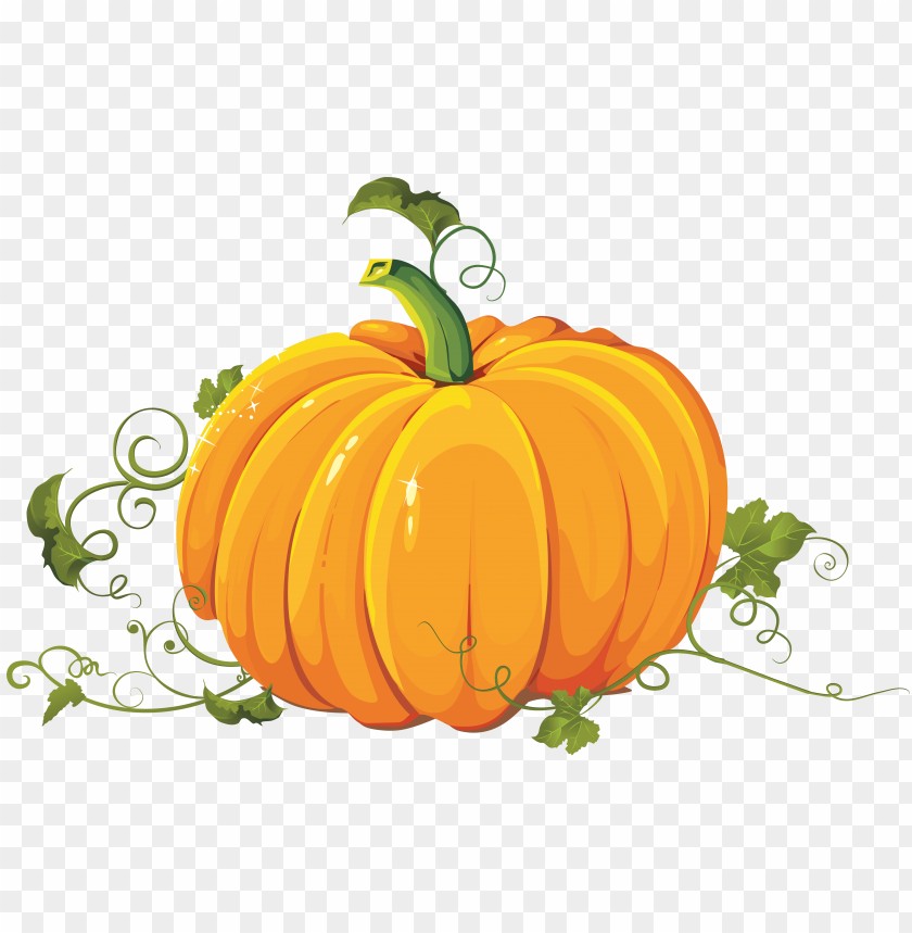 
pumpkin
, 
vegetable
, 
food
, 
rounded
, 
fruit
, 
pumpkins
