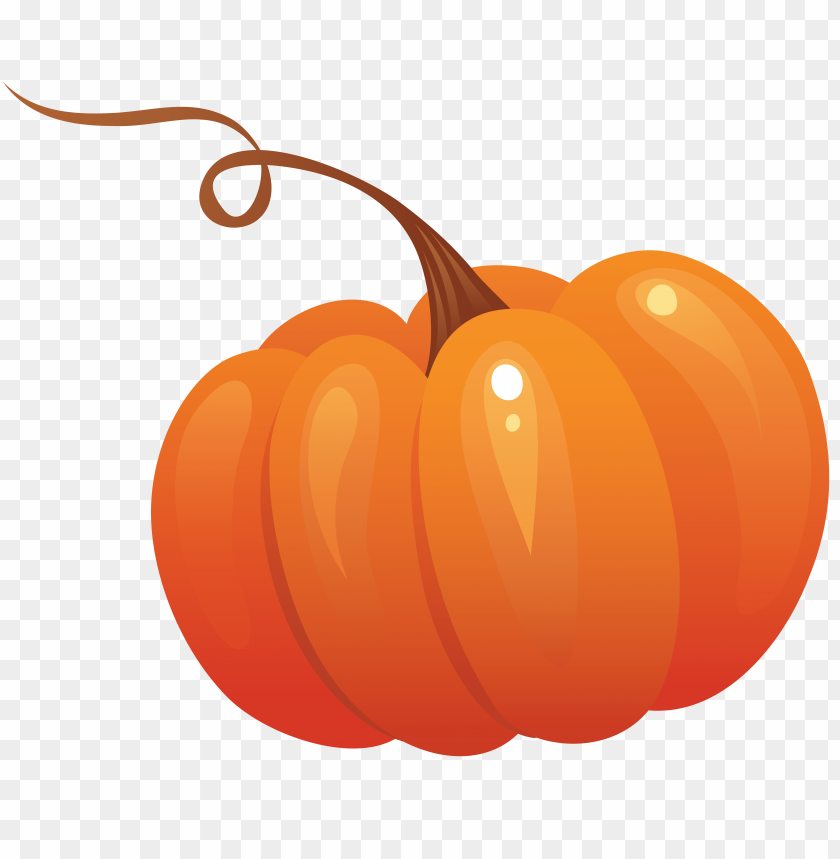 
pumpkin
, 
vegetable
, 
food
, 
rounded
, 
fruit
, 
pumpkins
