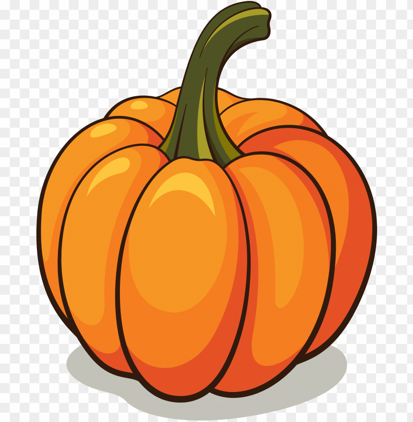 
pumpkin
, 
vegetable
, 
food
, 
rounded
, 
fruit
, 
pumpkins
