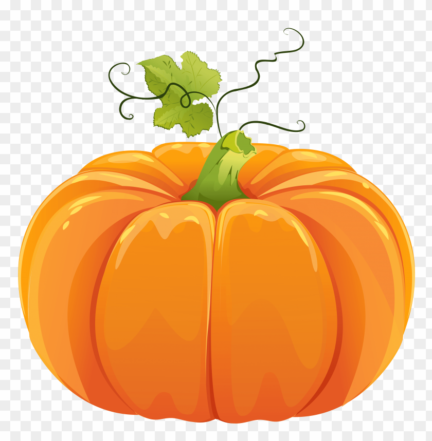 
pumpkin
, 
vegetable
, 
food
, 
rounded
, 
fruit
, 
pumpkins
