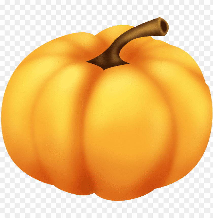 
pumpkin
, 
vegetable
, 
food
, 
rounded
, 
fruit
, 
pumpkins
