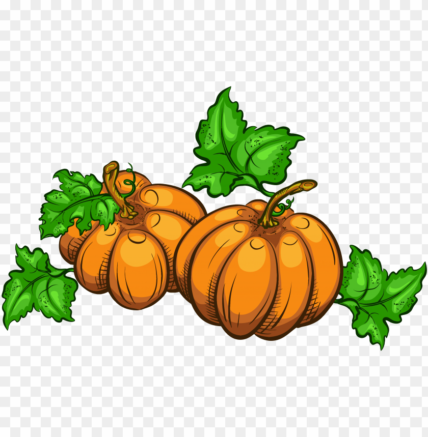 library icon, gallery icon, scary pumpkin, thanksgiving pumpkin, cute pumpkin, pumpkin emoji