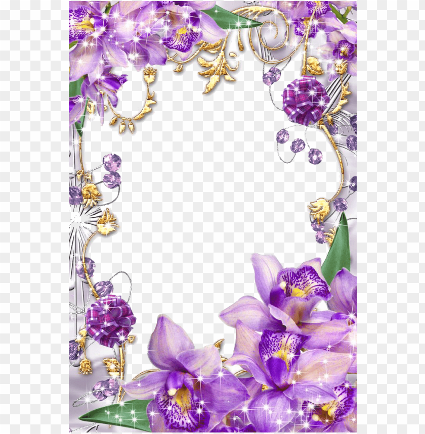 floral design, purple flowers, decorative frames, elegant borders, nature themes