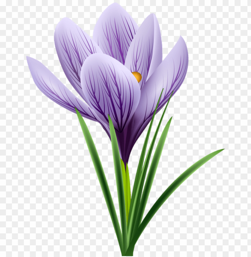 flowers png, spring png, flower png