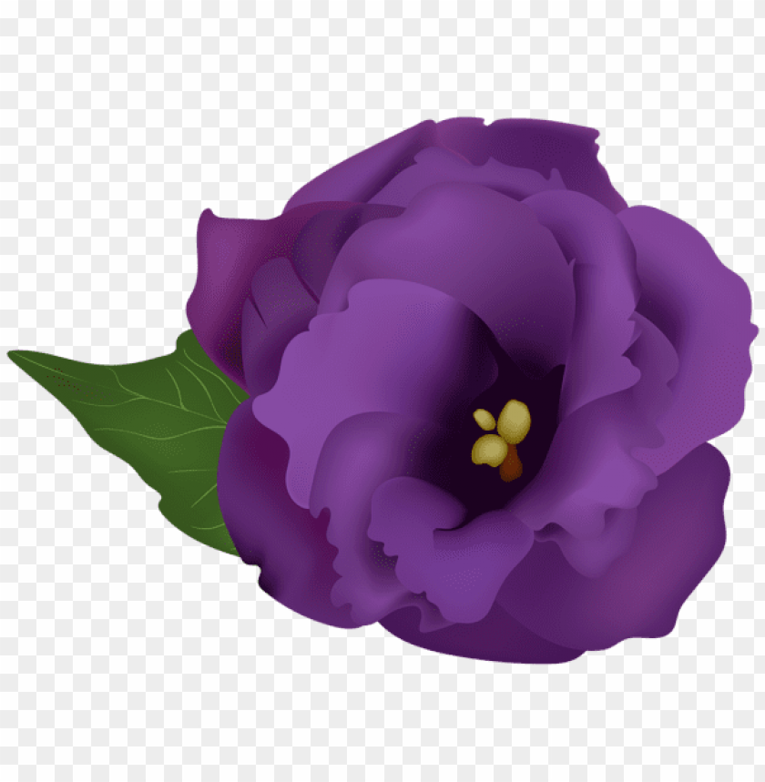 purple flower