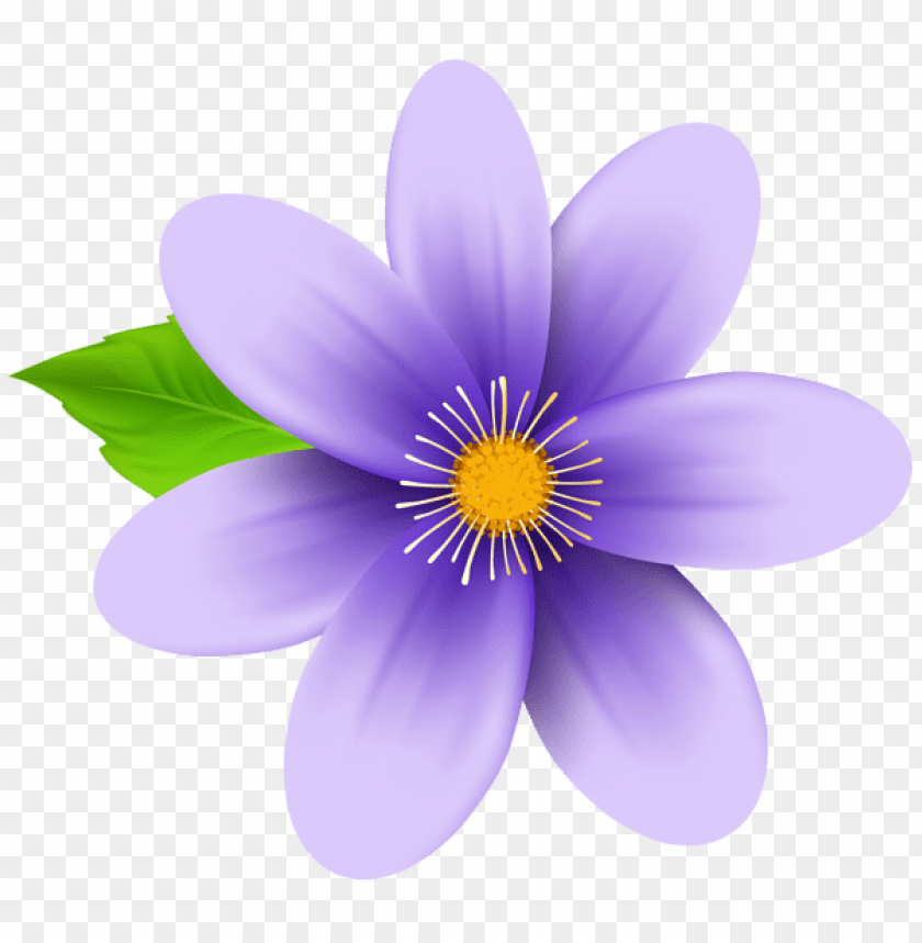 purple flower