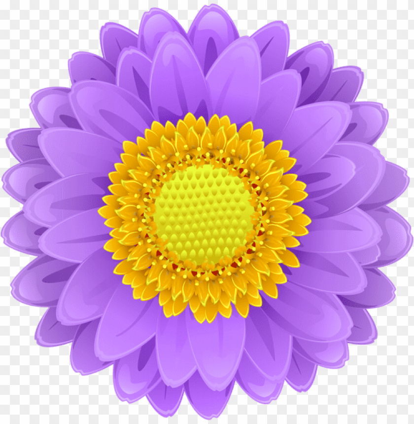 purple flower