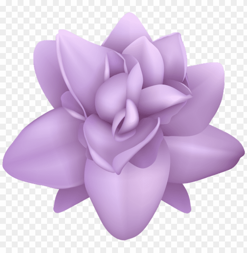 purple flower