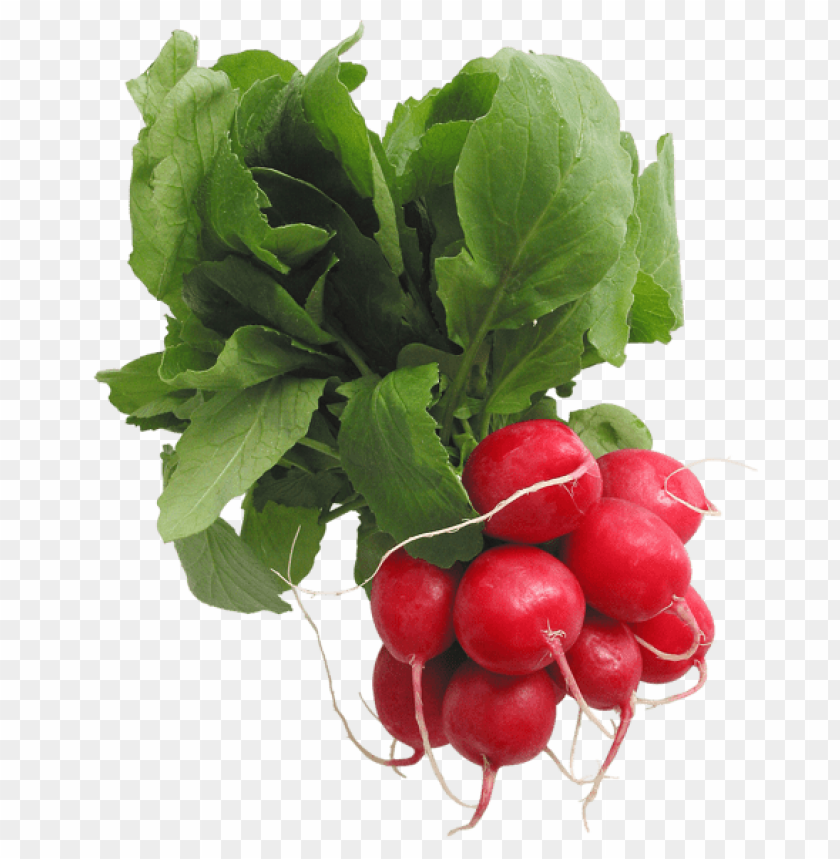 radish, fresh vegetables, red radish, organic produce, healthy snacks, garden vegetables, root vegetables