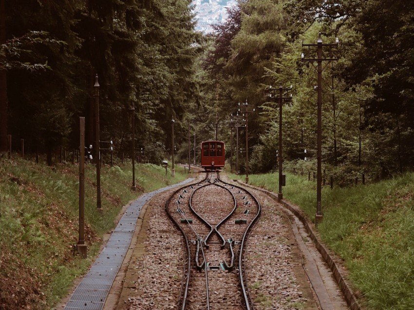 Railroad Rails Train Trees Nature Background