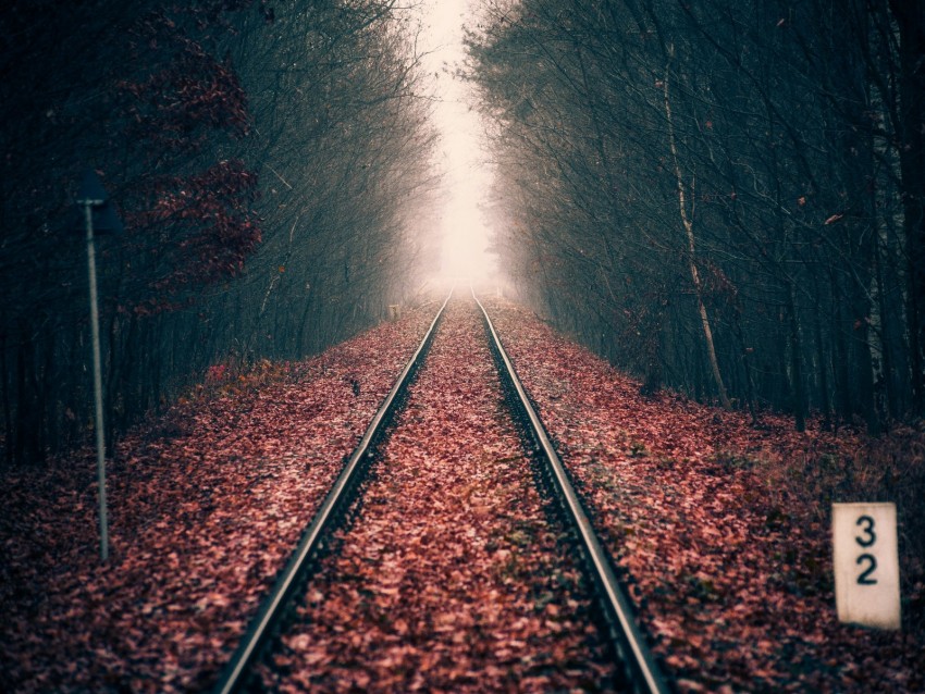 Rails Forest Railway Autumn Foliage Distance Background