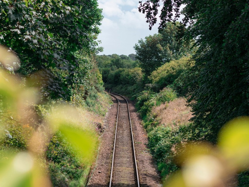 rails, railway, trees, bushes, nature