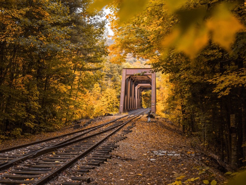 Railway Autumn Foliage Trees Background