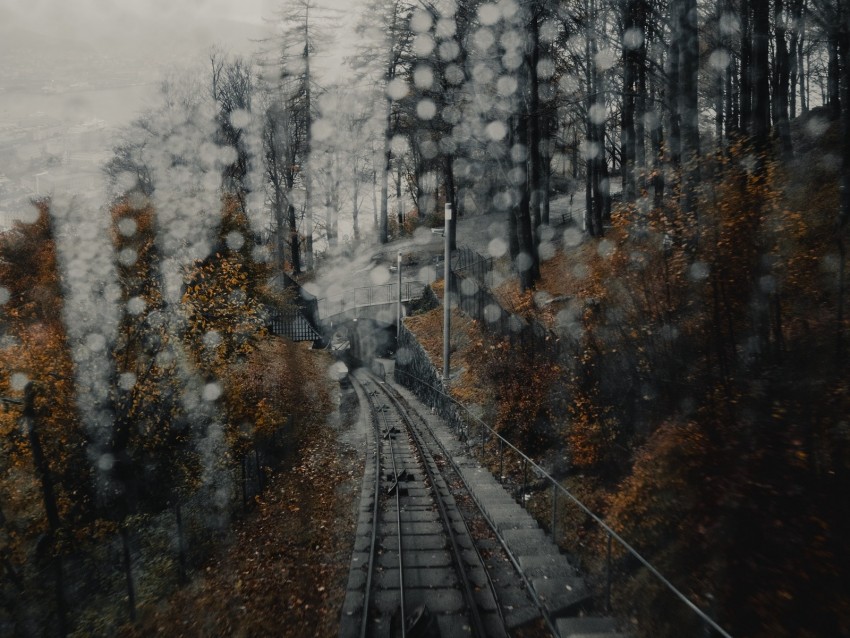 railway, rails, glare, fog, forest