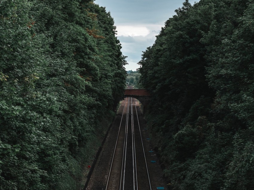 Railway Rails Trees Tunnel Corridor Background