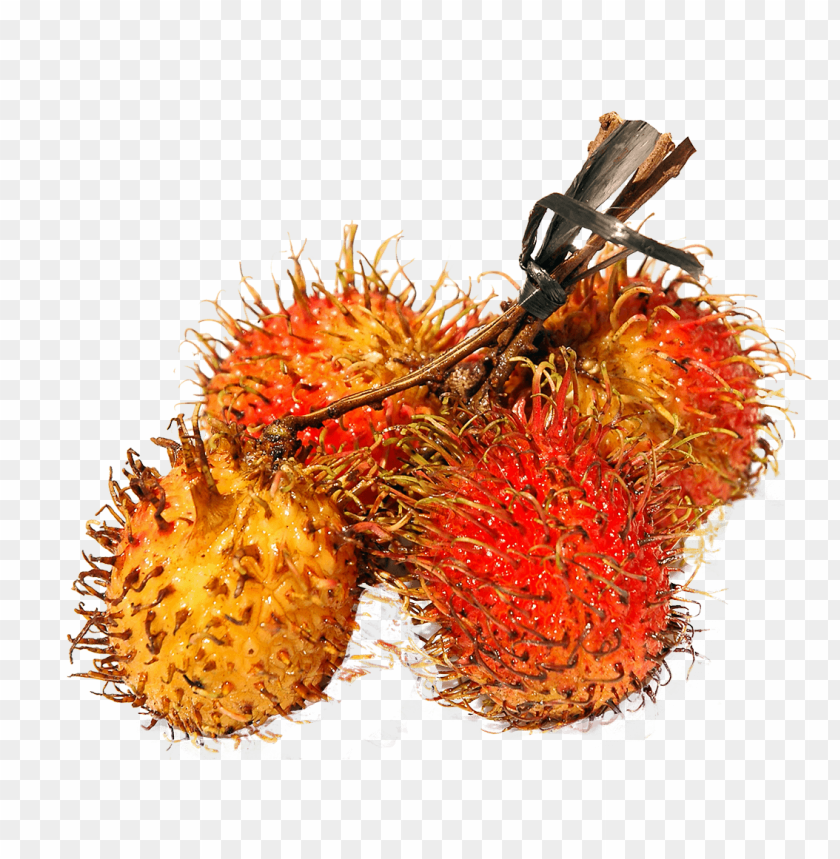 fruits, rambutan