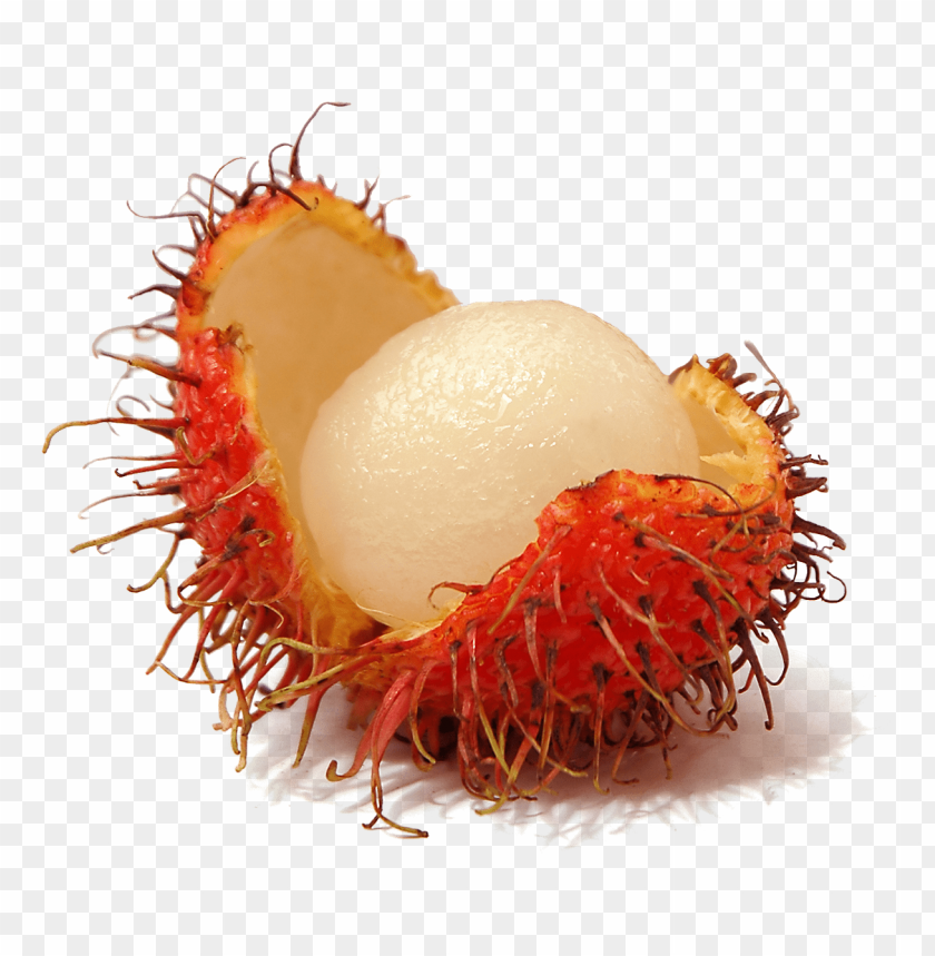 
fruits
, 
open
, 
rambutan
