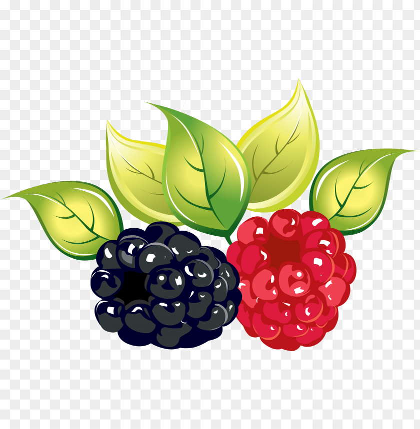 
rasberry
, 
berry
, 
fruit
, 
food
, 
tasty
