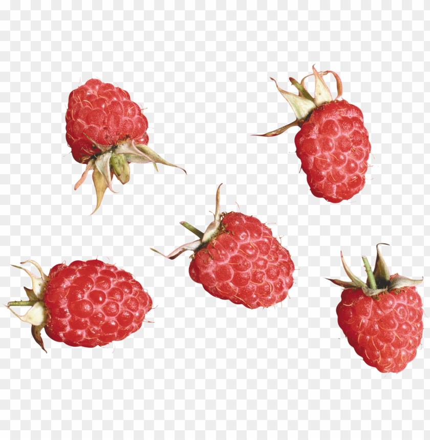 
rasberry
, 
berry
, 
fruit
, 
food
, 
tasty
