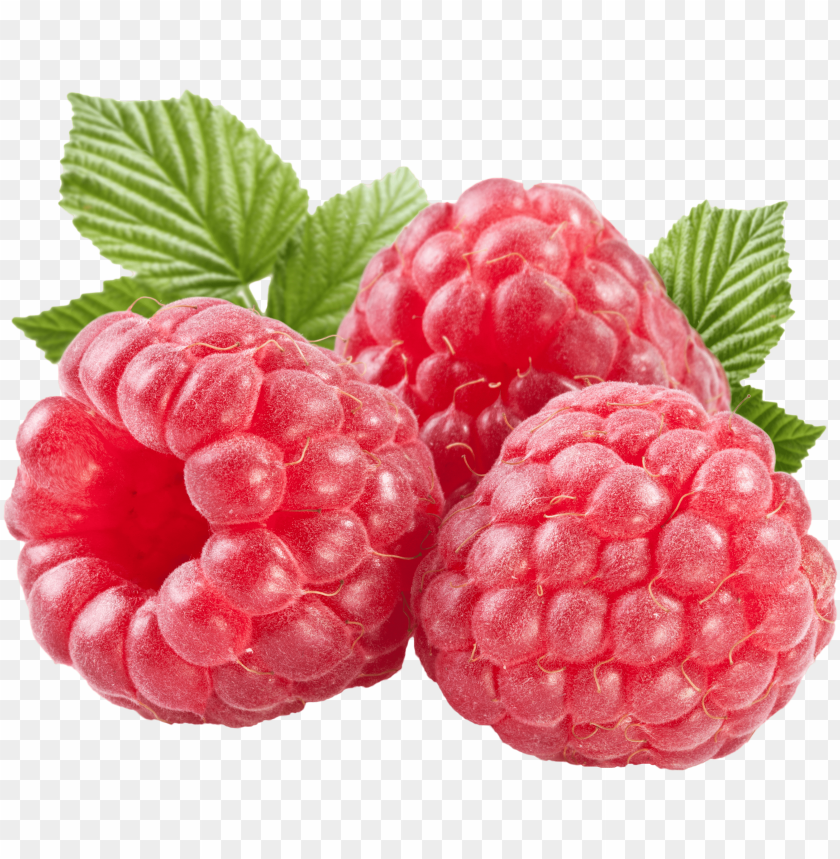 
rasberry
, 
berry
, 
fruit
, 
food
, 
tasty
