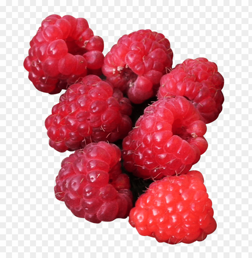 Raspberry, Health Benefits, Recipes, Cultivation, Nutrition