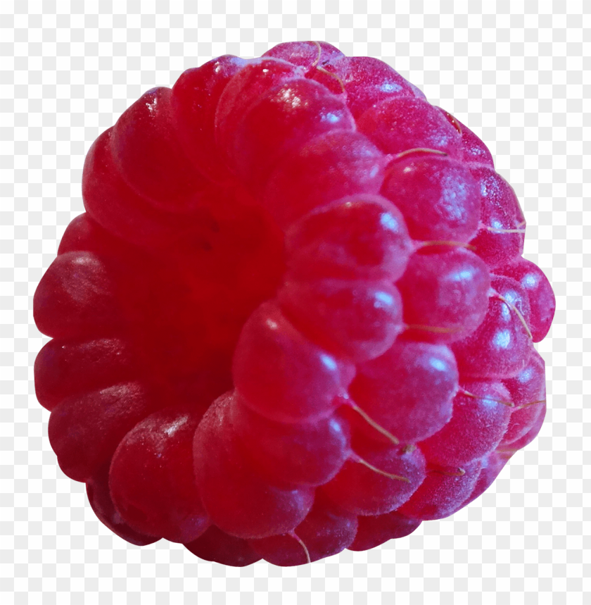 fruits, berry, raspberry