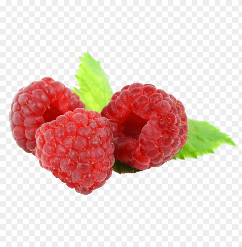 
fruits
, 
berry
, 
berries
, 
raspberry
, 
rasberries
