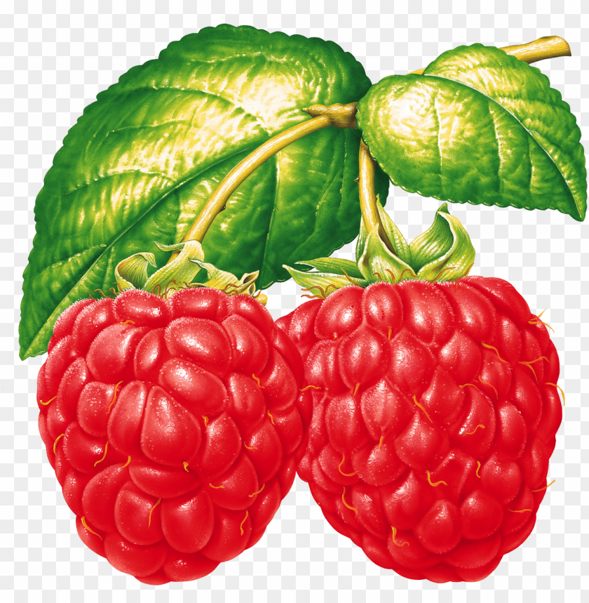 
raspberry
, 
a sweet rose-colored wine
, 
anglo-latin
, 
vinum raspeys
