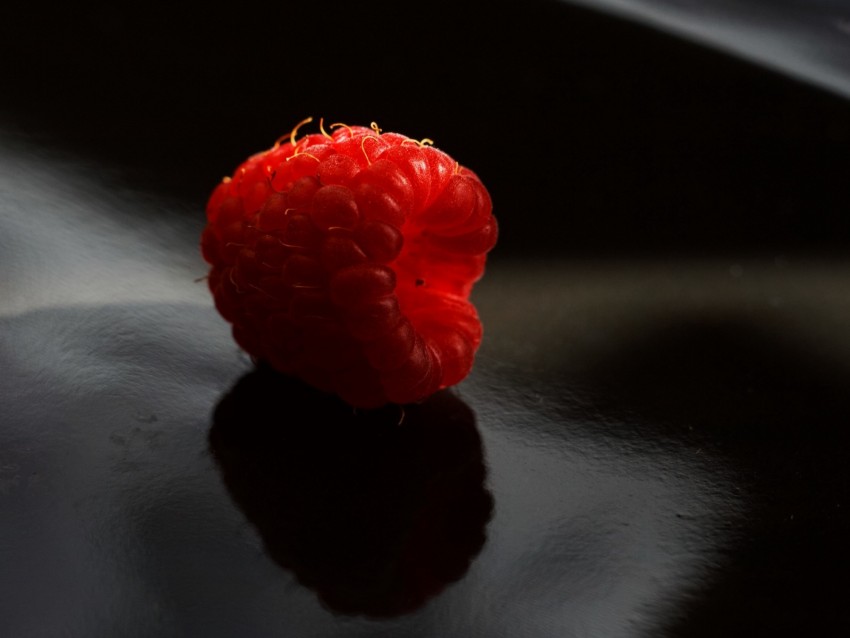 Raspberry Berry Ripe Macro Shadow Background