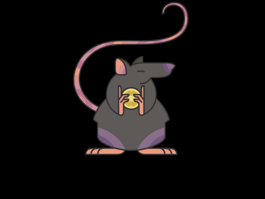 rat, coins, money, vector