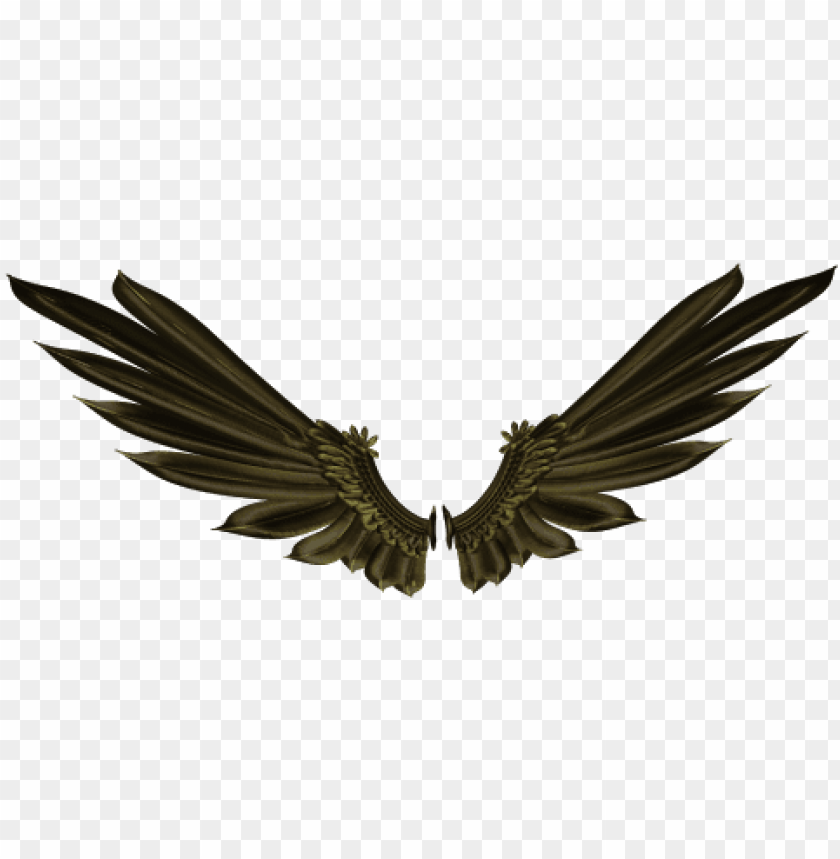 bird wings, chicken wings, angel wings, angel wings clipart, butterfly wings, black angel wings