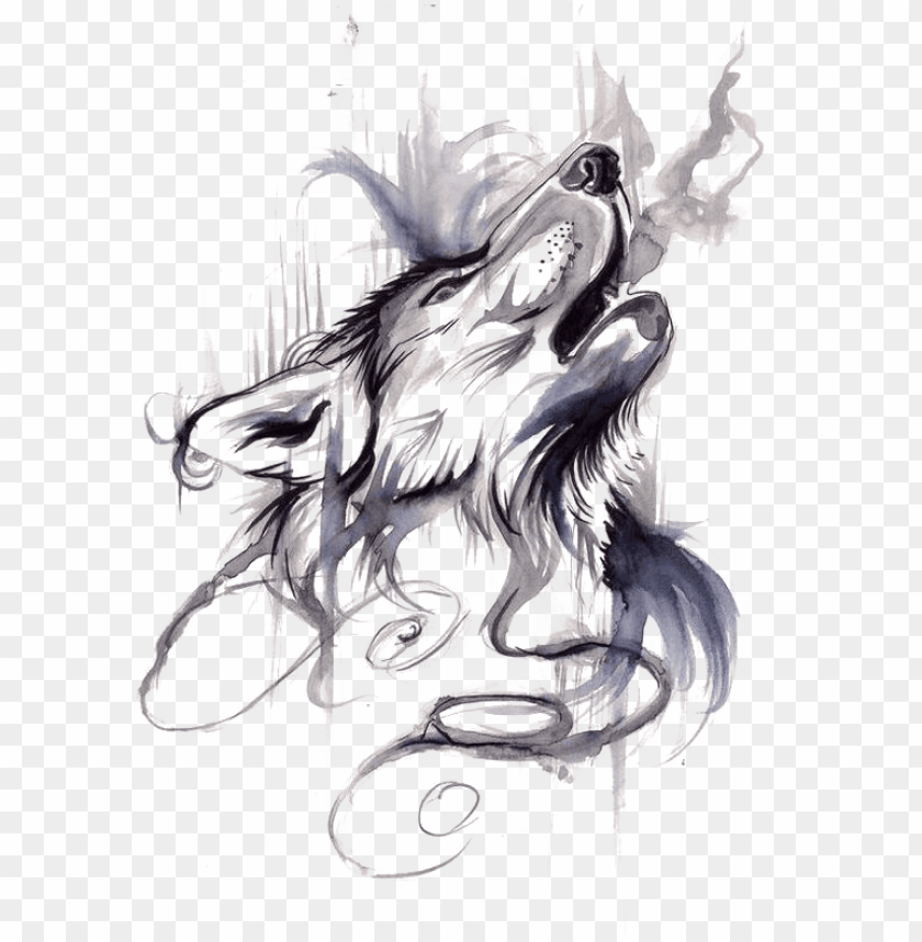 illustration, clean, draw, pet, lightning, care, sketch