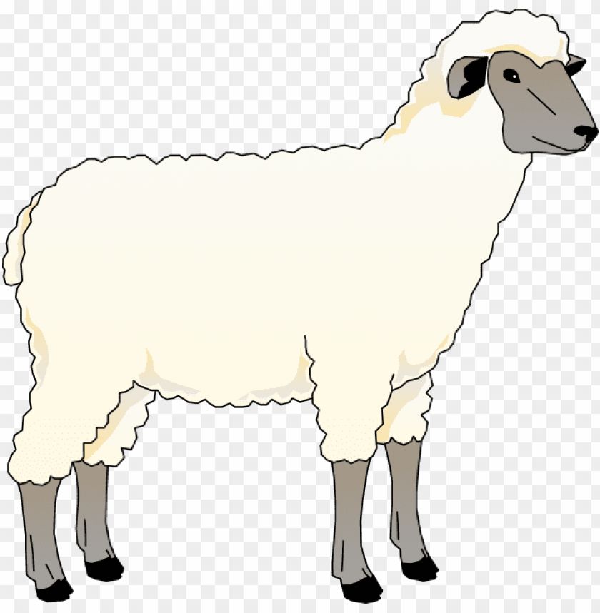 real sheep png, png,sheep,reals,real,realsh