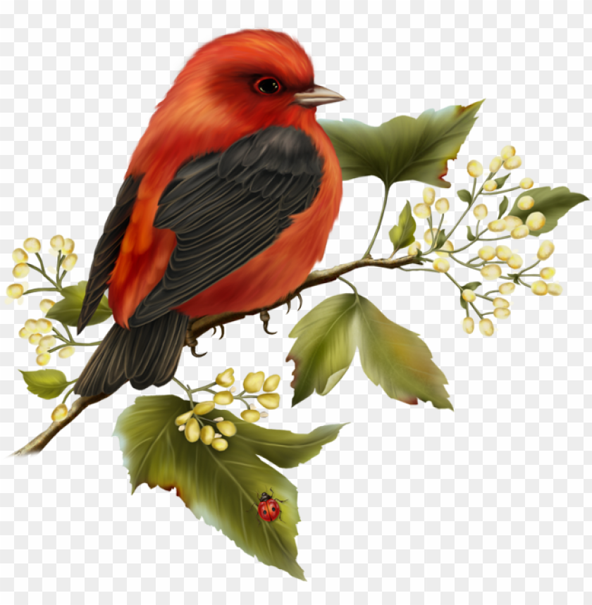 background, bird, painting, wildlife, sun clip art, love birds, paint