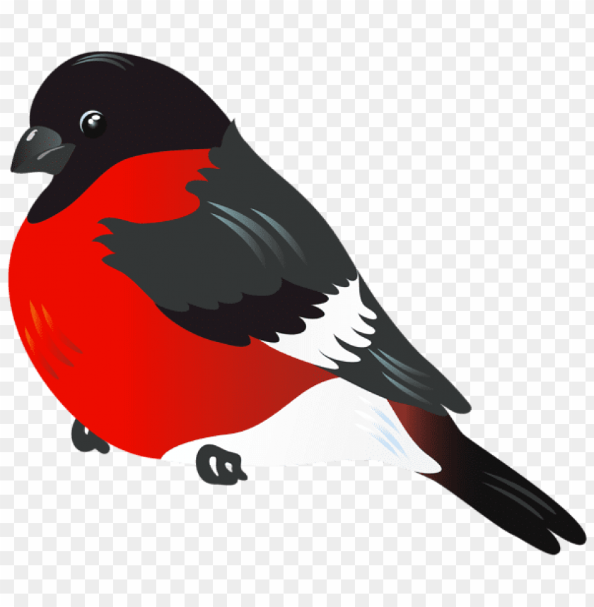 birds png ,bird