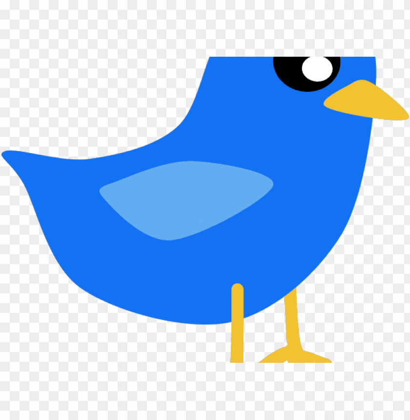 phoenix bird, twitter bird logo, big bird, bird wings, flappy bird pipe, bird