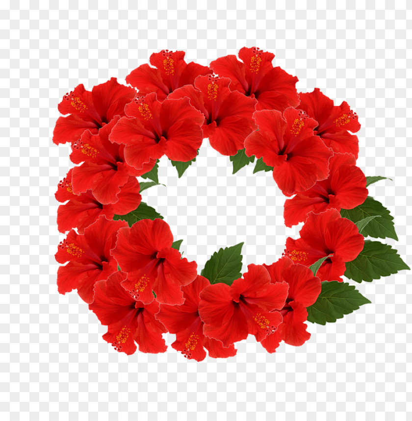 red flower crown transparent, redflower,red,flowercrown,crown,transparent,flower