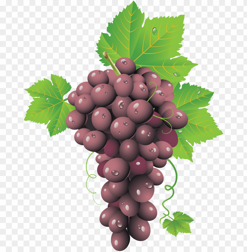 
grape
, 
berry
, 
grapes
, 
fruit
, 
food
, 
red grapes
