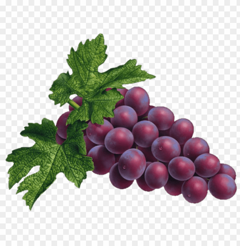 fruits, red grapes,عنب,فاكهه,فواكهه