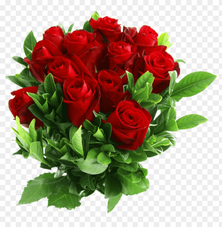 red rose bouquet