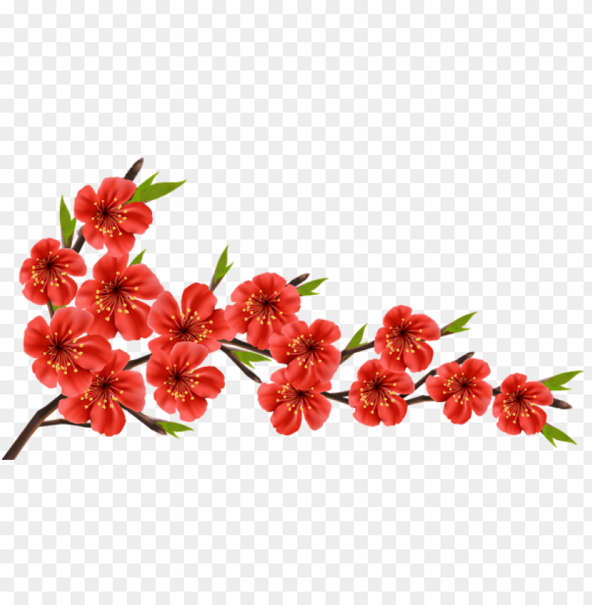 spring png