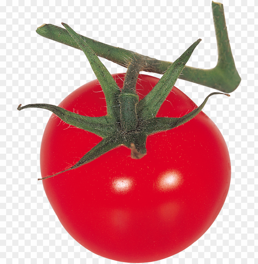 
tomato
, 
salad fruit
, 
red fruit
, 
tomatoes
